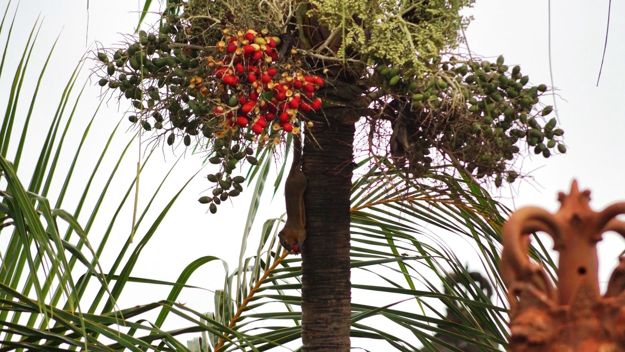 Photo of Outdoor in Sanur Kauh