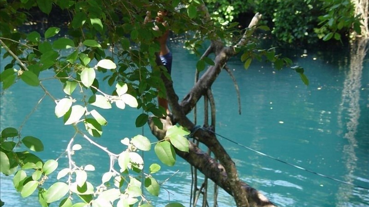 Photo of Outdoor in La Entrada