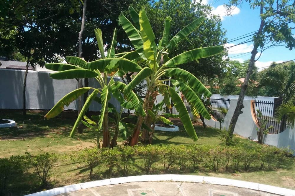 Photo of Outdoor in Llanos de Gurabo I