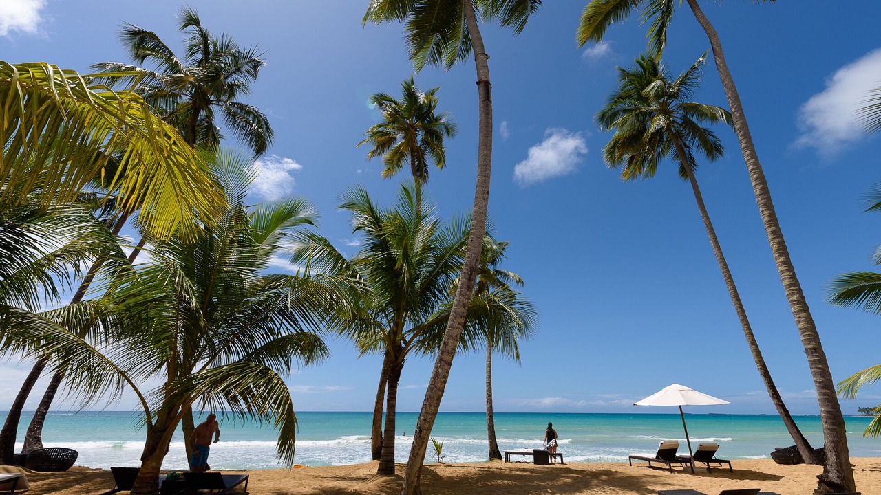 Photo of Others in Las Terrenas