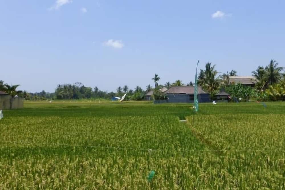 Photo of Others in Penestanan