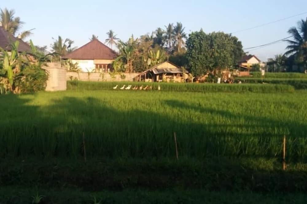Photo of Others in Penestanan