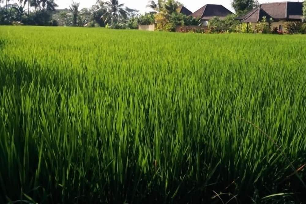 Photo of Others in Penestanan