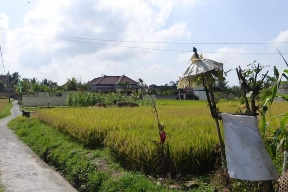 Photo of Others in Penestanan