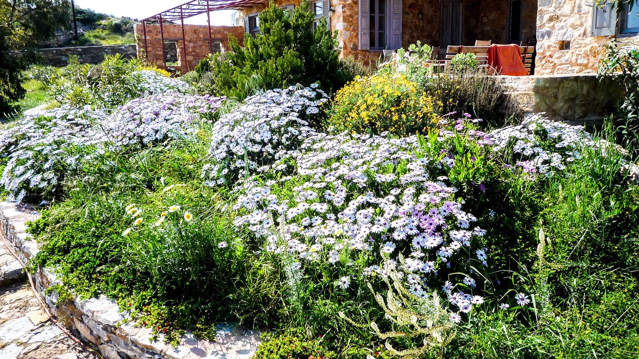 Photo of Outdoor in Azolimnos