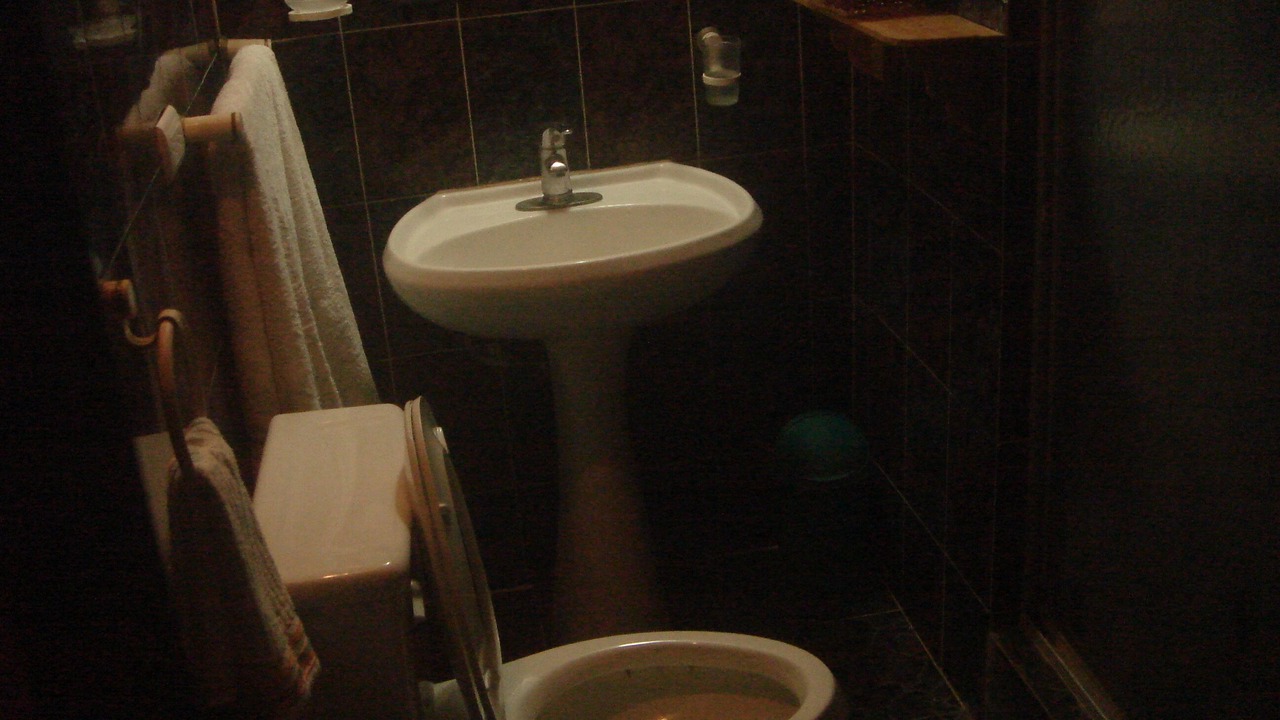 Photo of Bathroom in Guayacanes