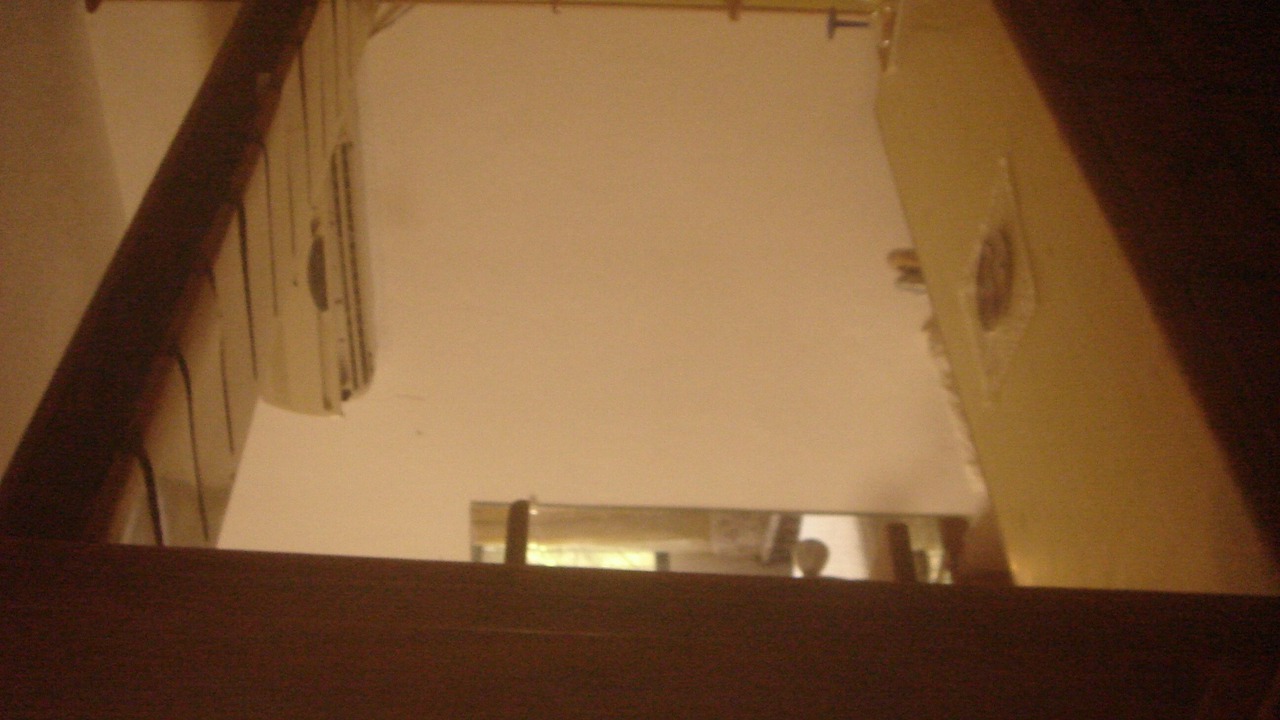 Photo of Others in Guayacanes