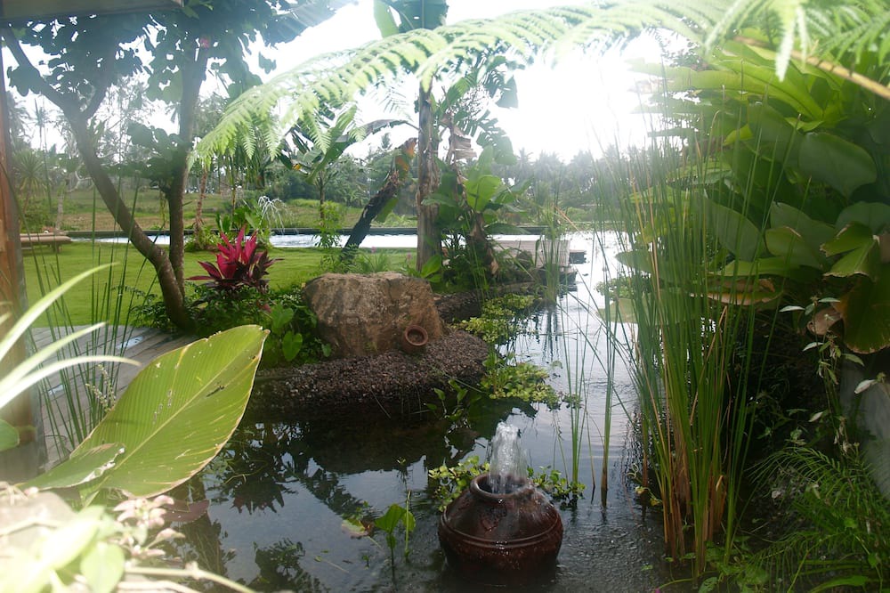 Photo of Others in Suraberata