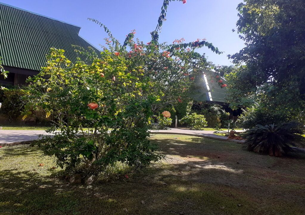 Photo of Outdoor in Teahupoo
