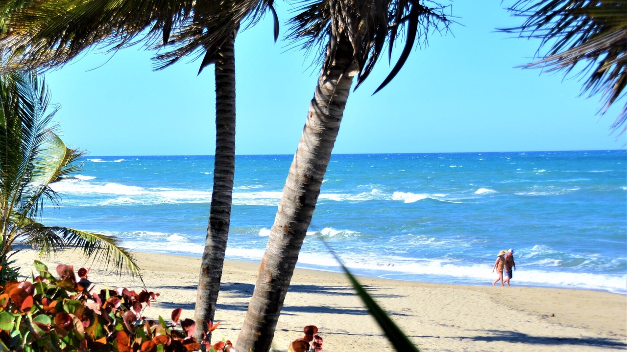 Photo of Others in Cabarete