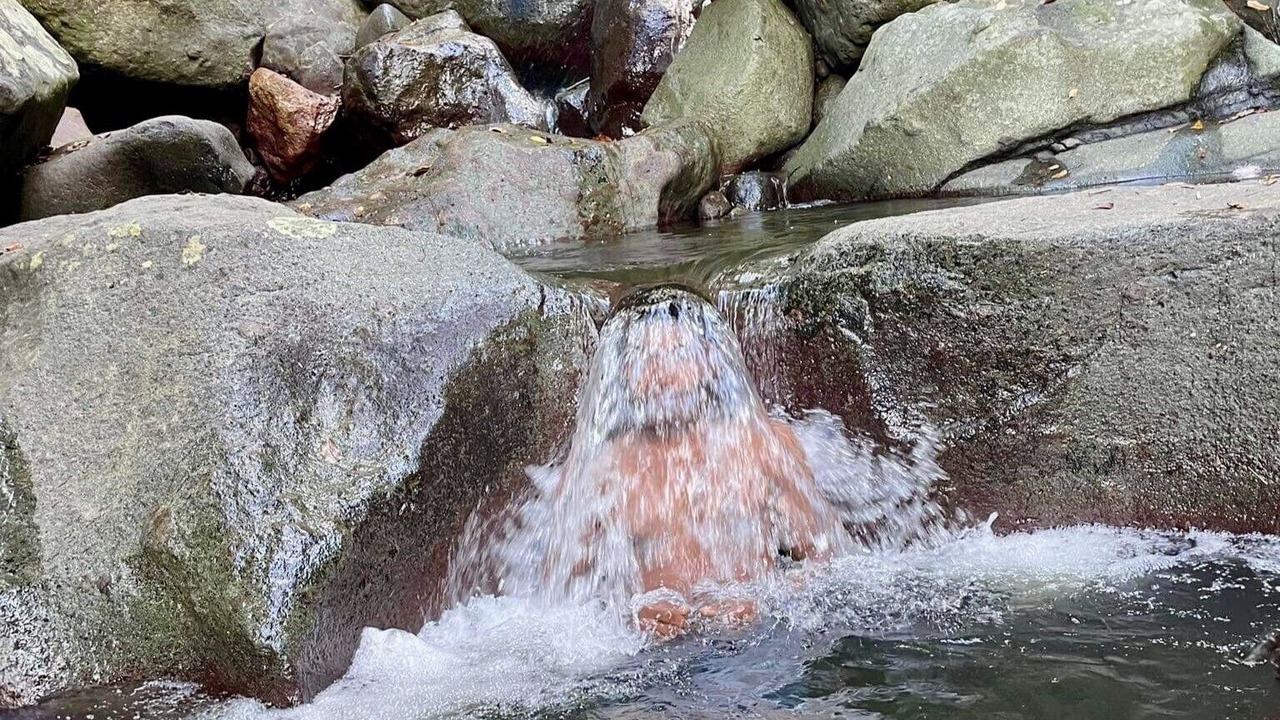 Photo of Outdoor in Viani Bay