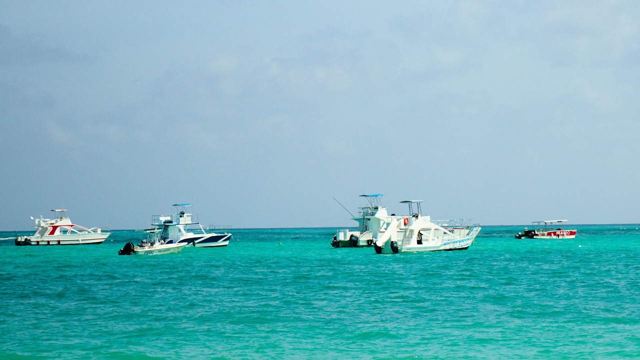 Photo of Others in Bavaro
