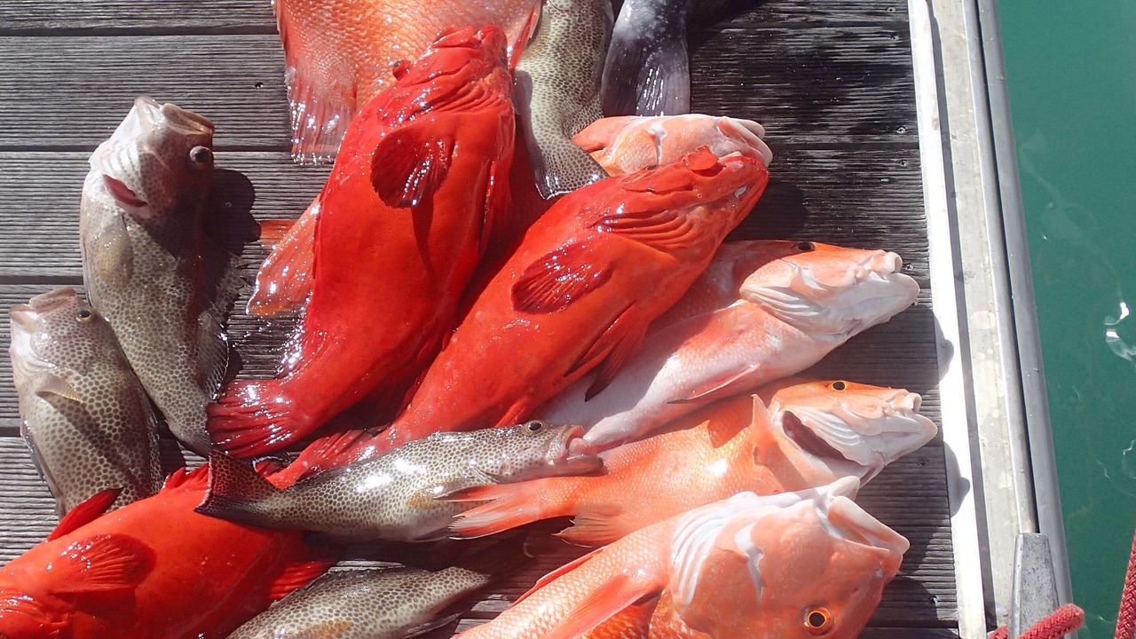 Photo of Others in Mahe Island