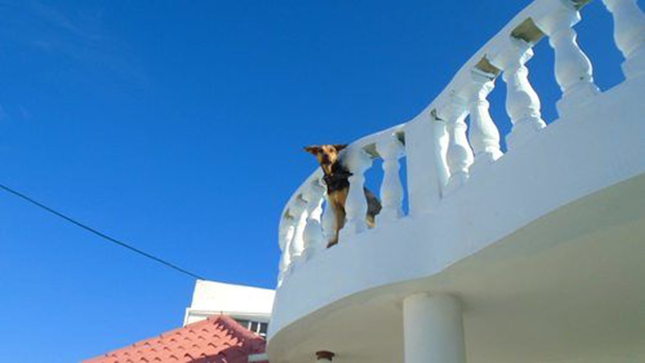 Photo of Patio Balcony in La Romana