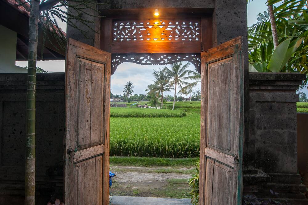 Photo of Others in Kemenuh