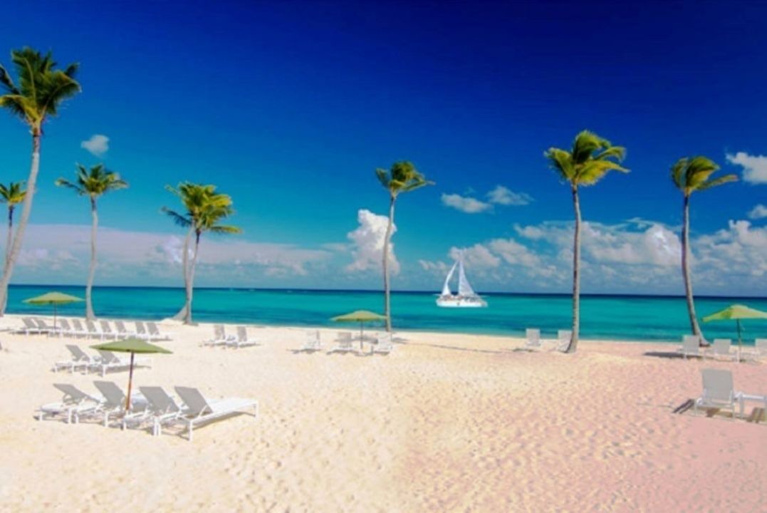 Photo of Others in Cap Cana Marina