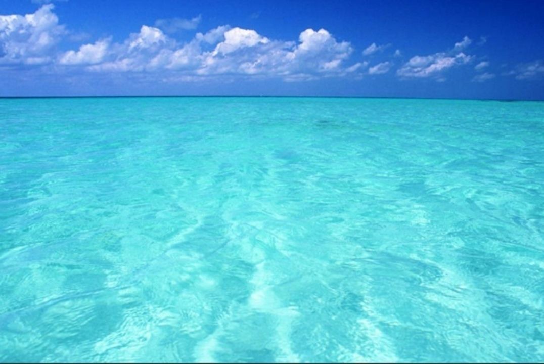 Photo of Others in Cap Cana Marina