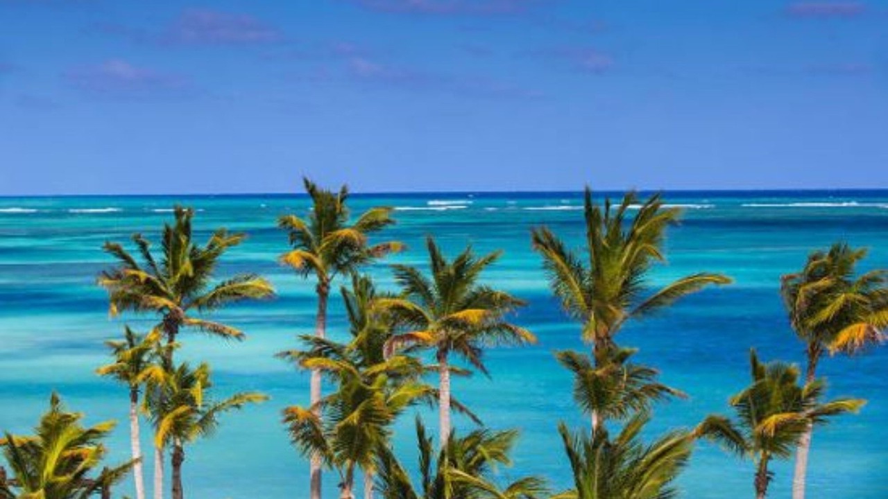 Photo of Others in Cap Cana Marina
