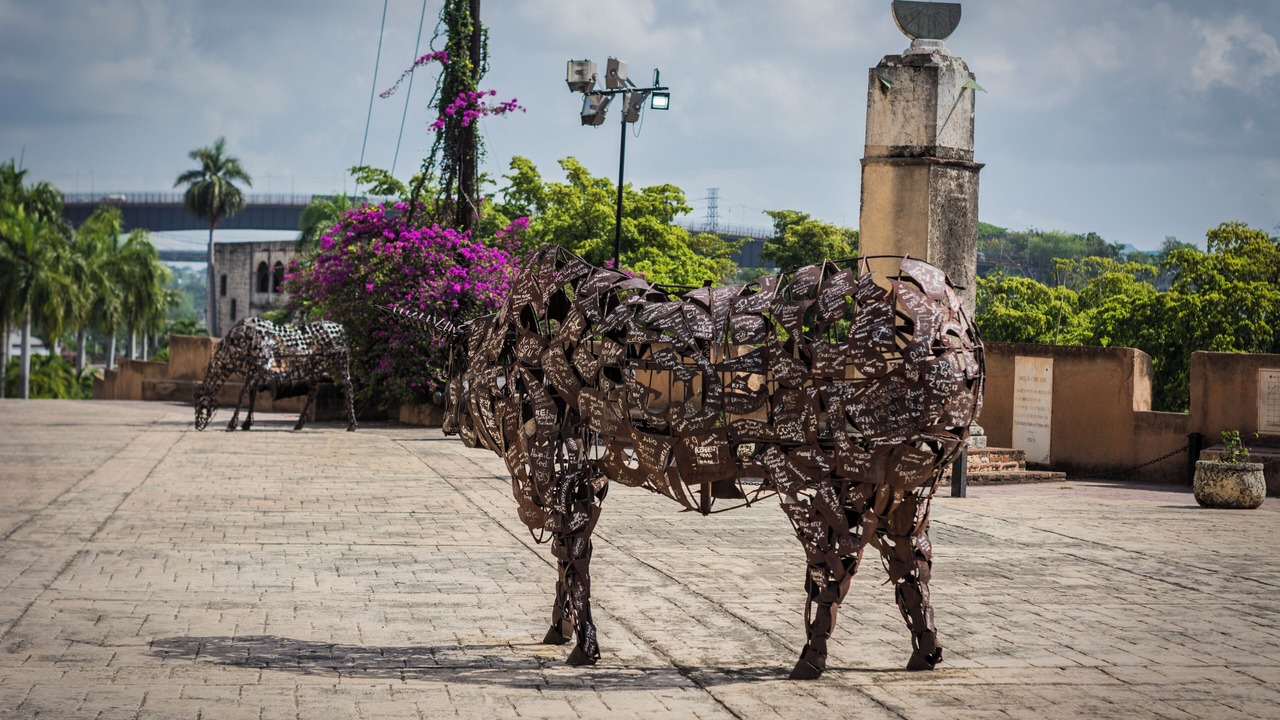 Photo of Outdoor in Ciudad Universitaria