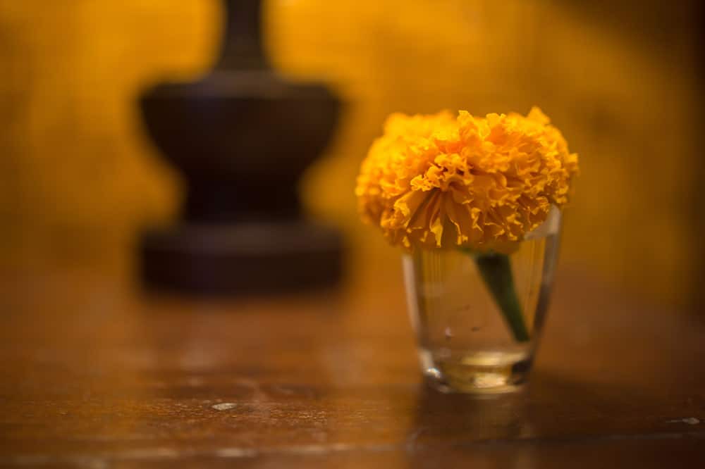 Photo of Others in Ubud