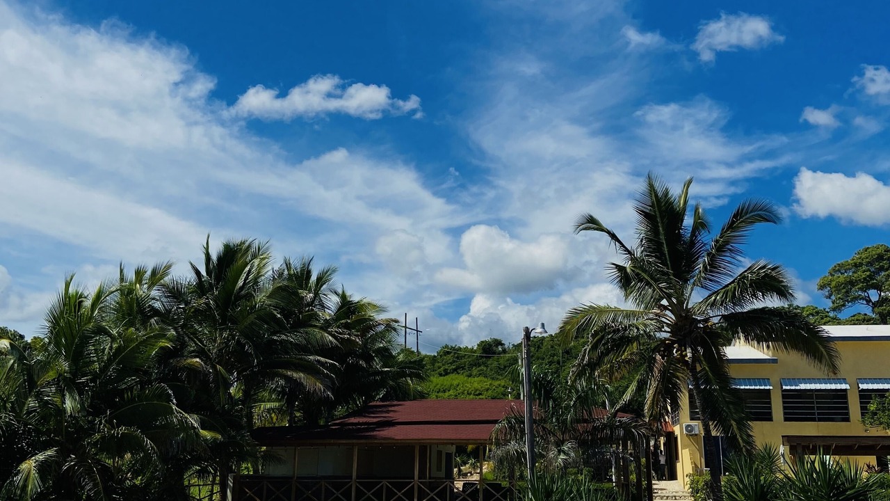 Photo of Patio Balcony in Juan Esteban