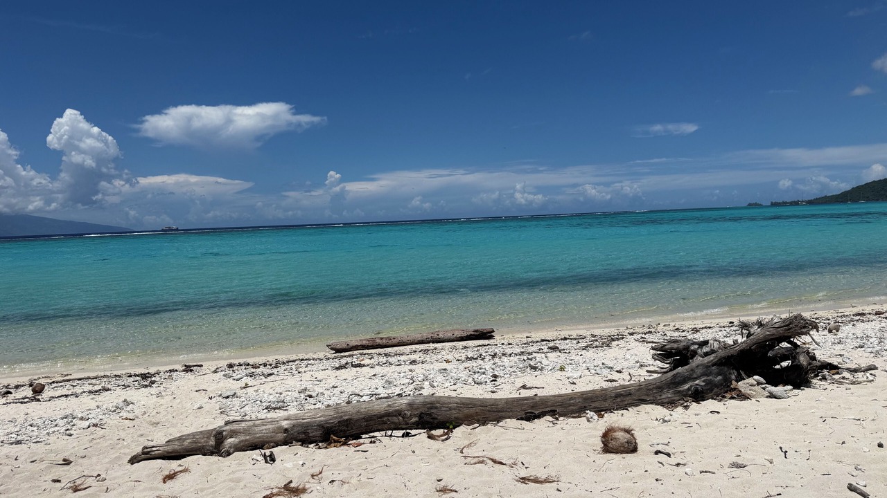 Photo of Outdoor in Teavaro