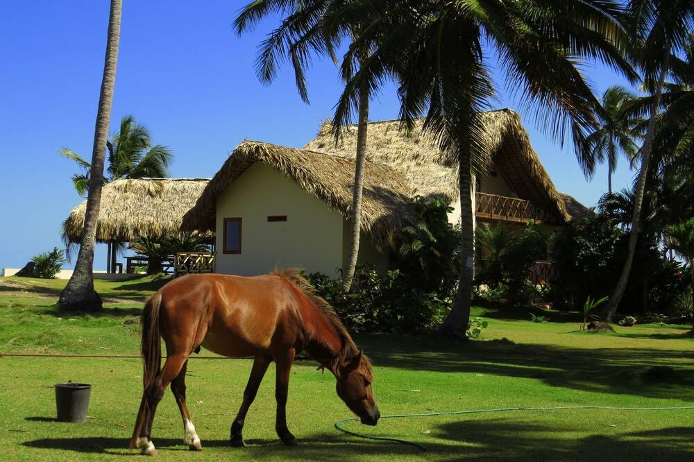 Photo of Outdoor in Samana