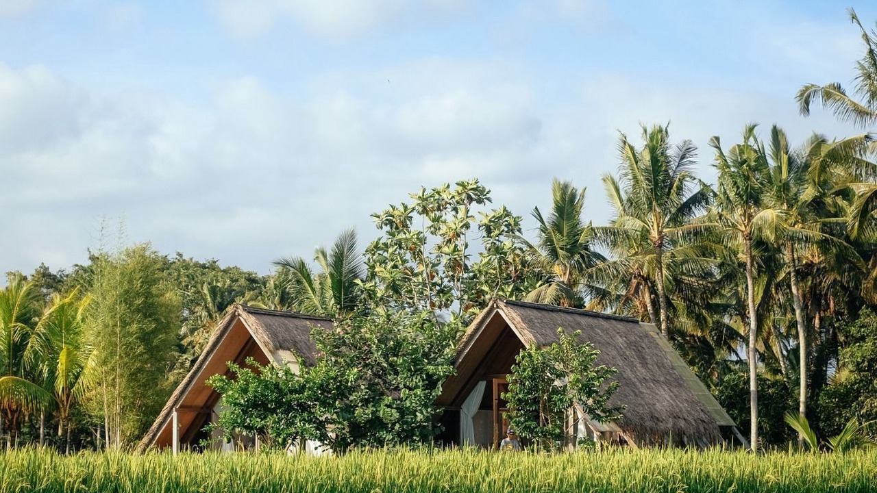Photo of Outdoor in Peliatan