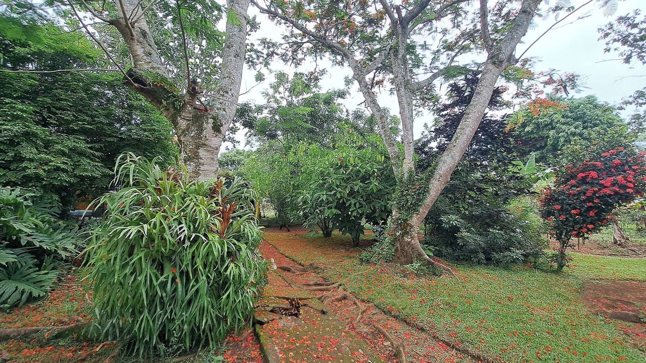 Photo of Patio Balcony in La Vega Province
