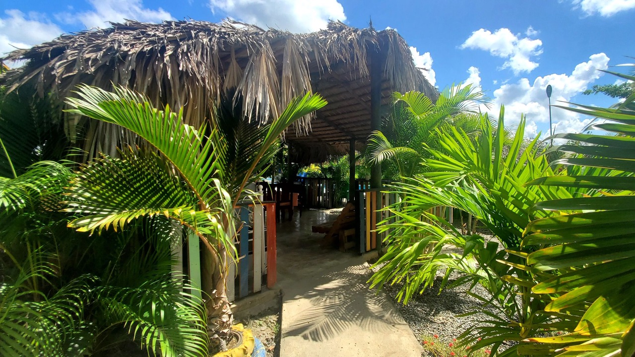 Photo of Outdoor in La Vega