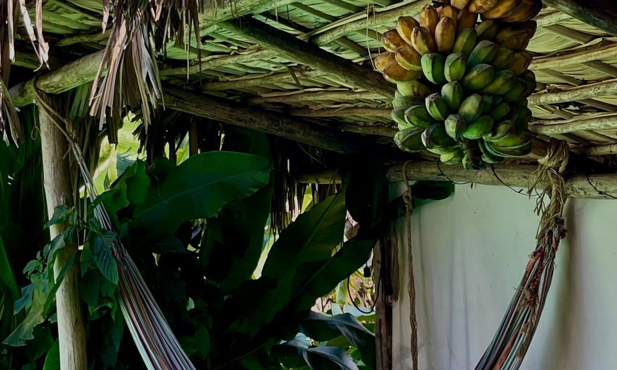 Photo of Patio Balcony in Samana