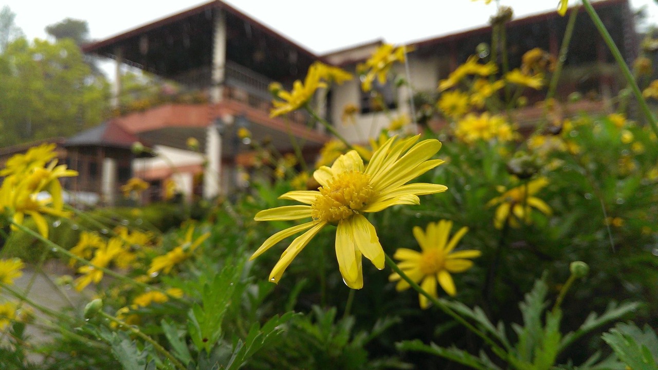 Photo of Outdoor in Constanza