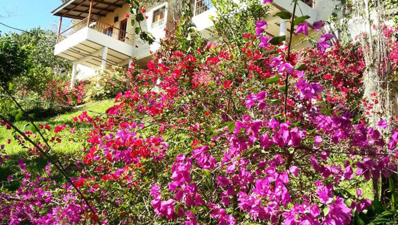 Photo of Outdoor in Constanza