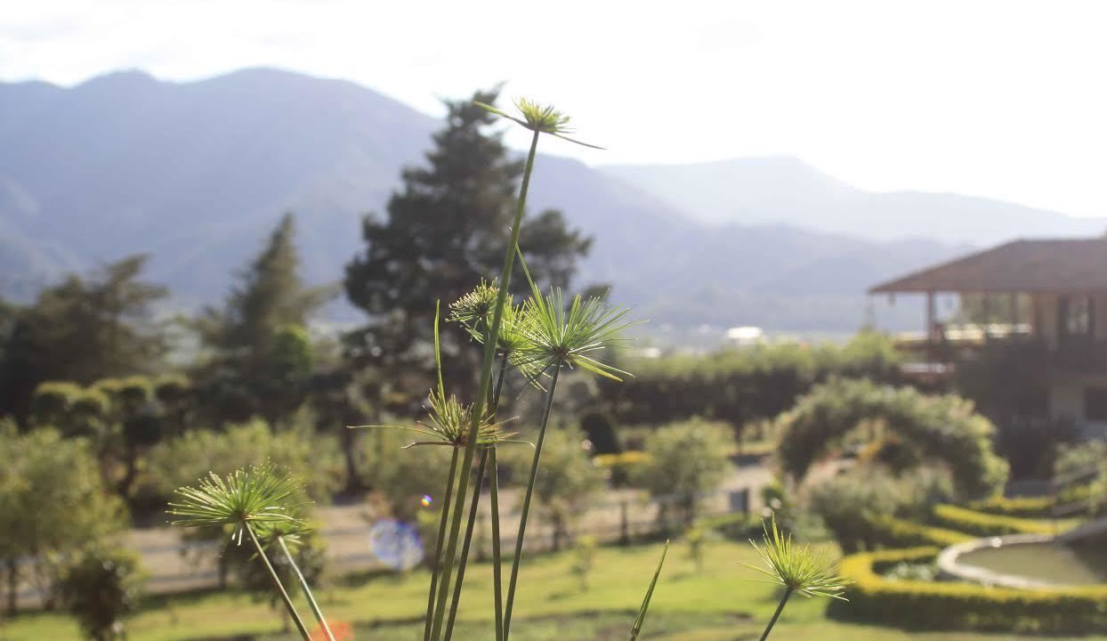Photo of Outdoor in Constanza