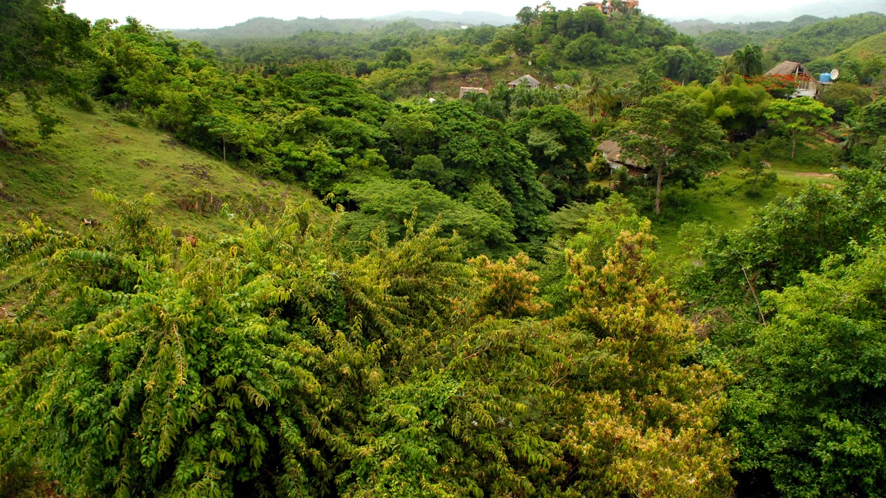 Photo of Others in Las Terrenas