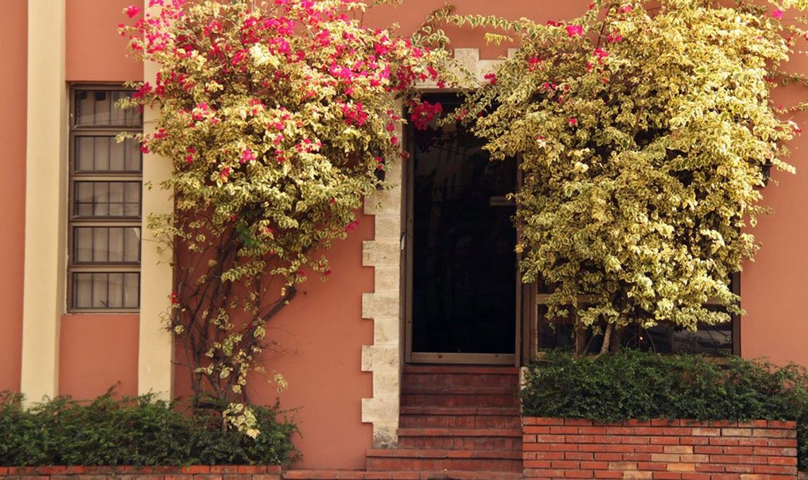 Photo of Outdoor in La Arboleda