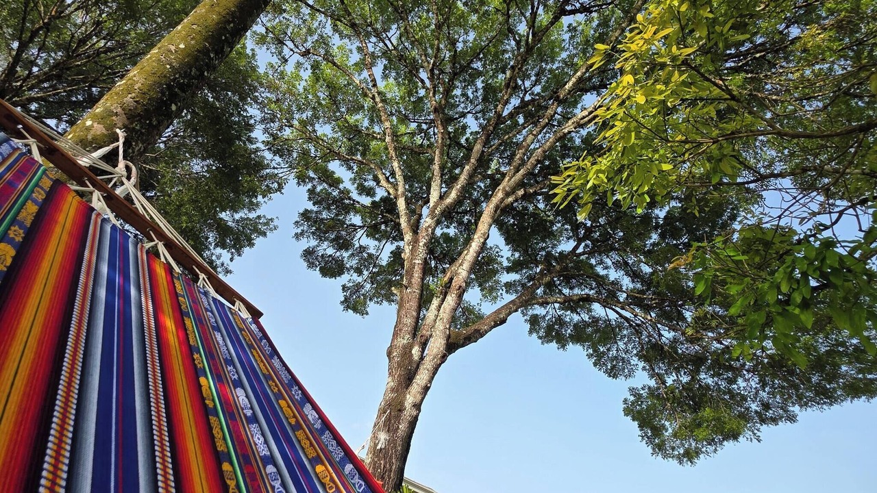 Photo of Outdoor in Los Brazos