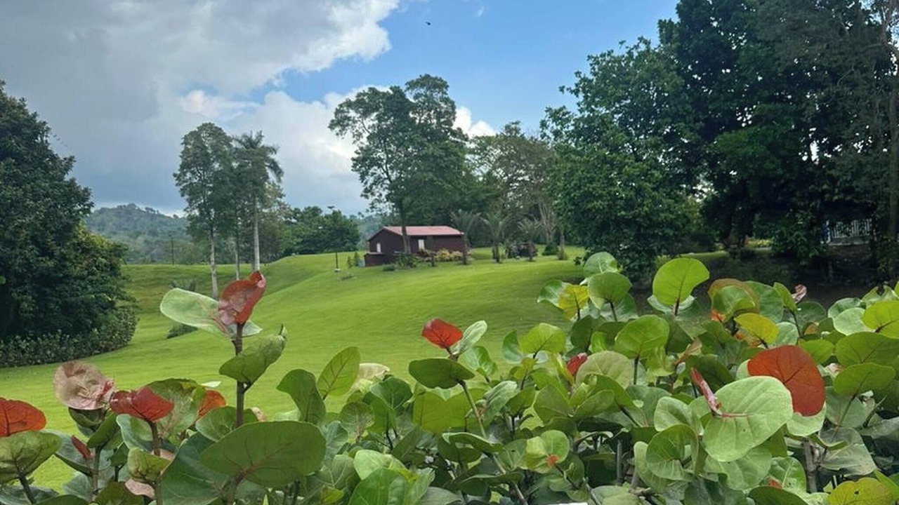 Photo of Outdoor in Los Brazos