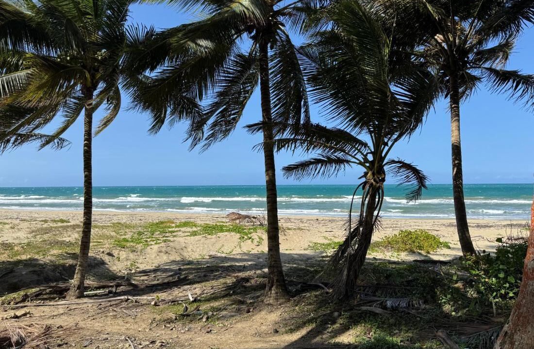 Photo of Others in Cabarete