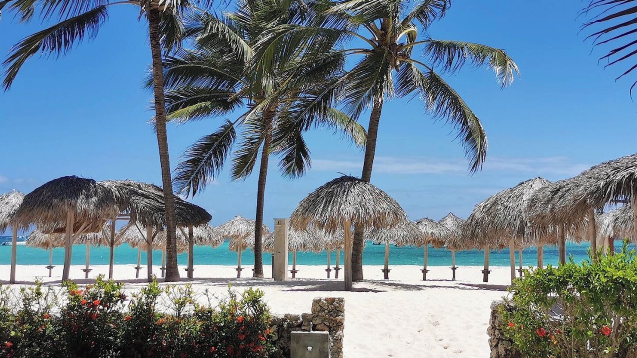Photo of Others in Bavaro