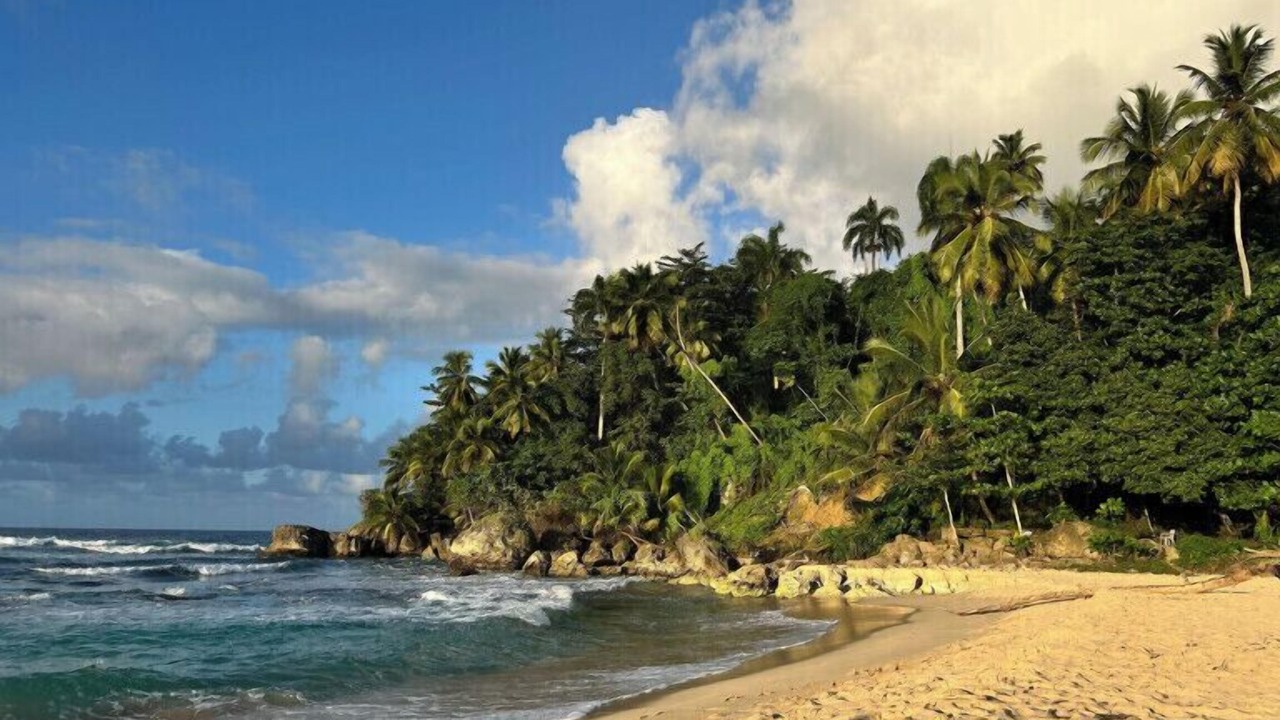 Photo of Outdoor in Sabaneta de Yasica