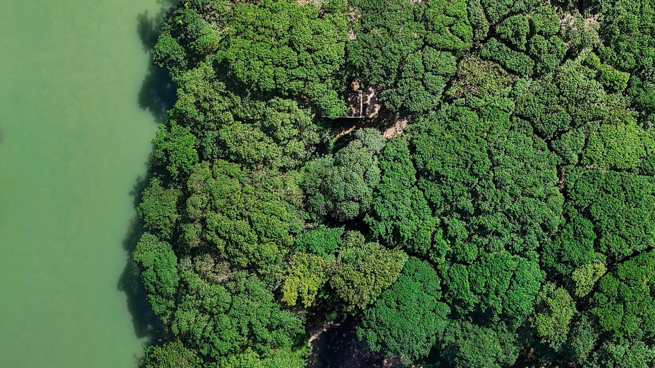 Photo of Outdoor in Sabaneta de Yasica