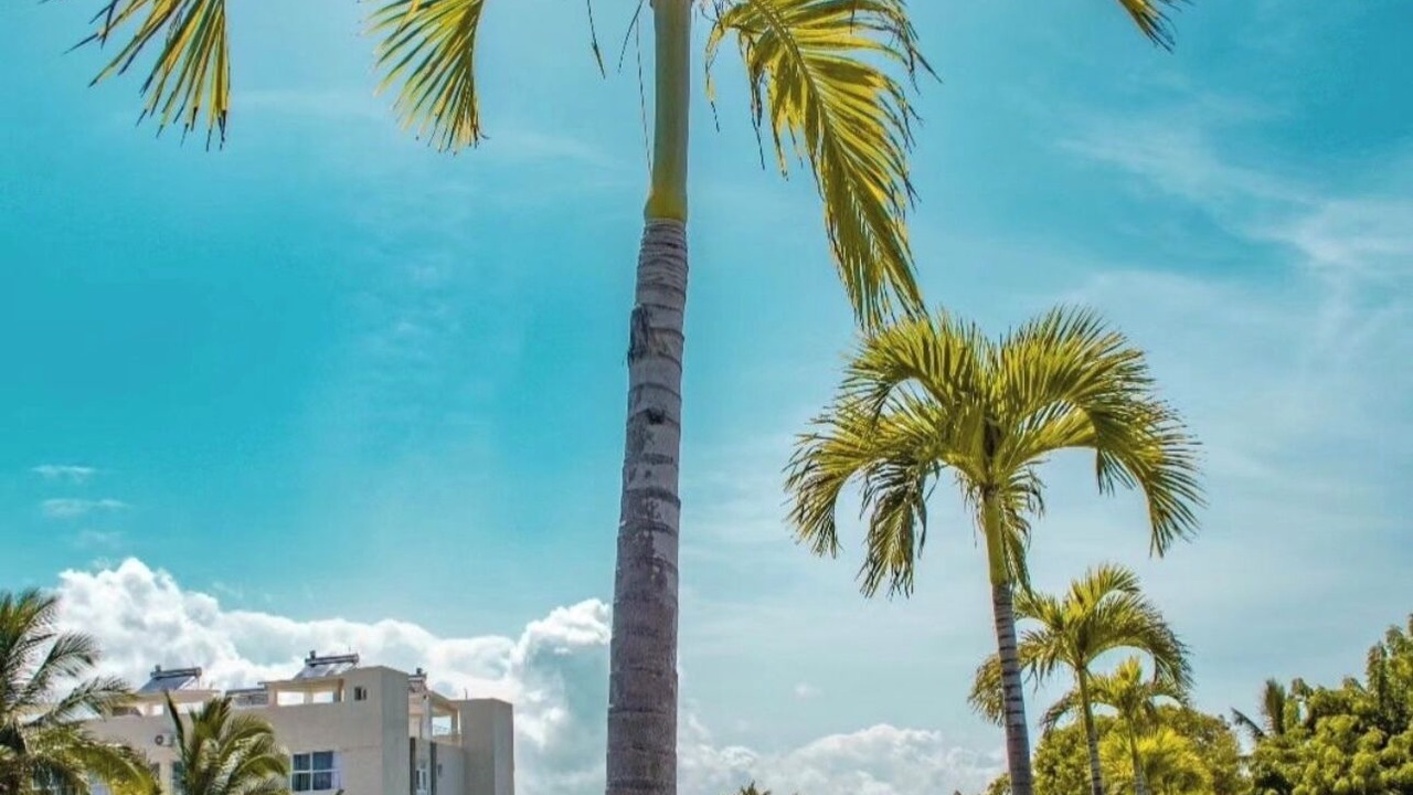 Photo of Others in Punta Cana