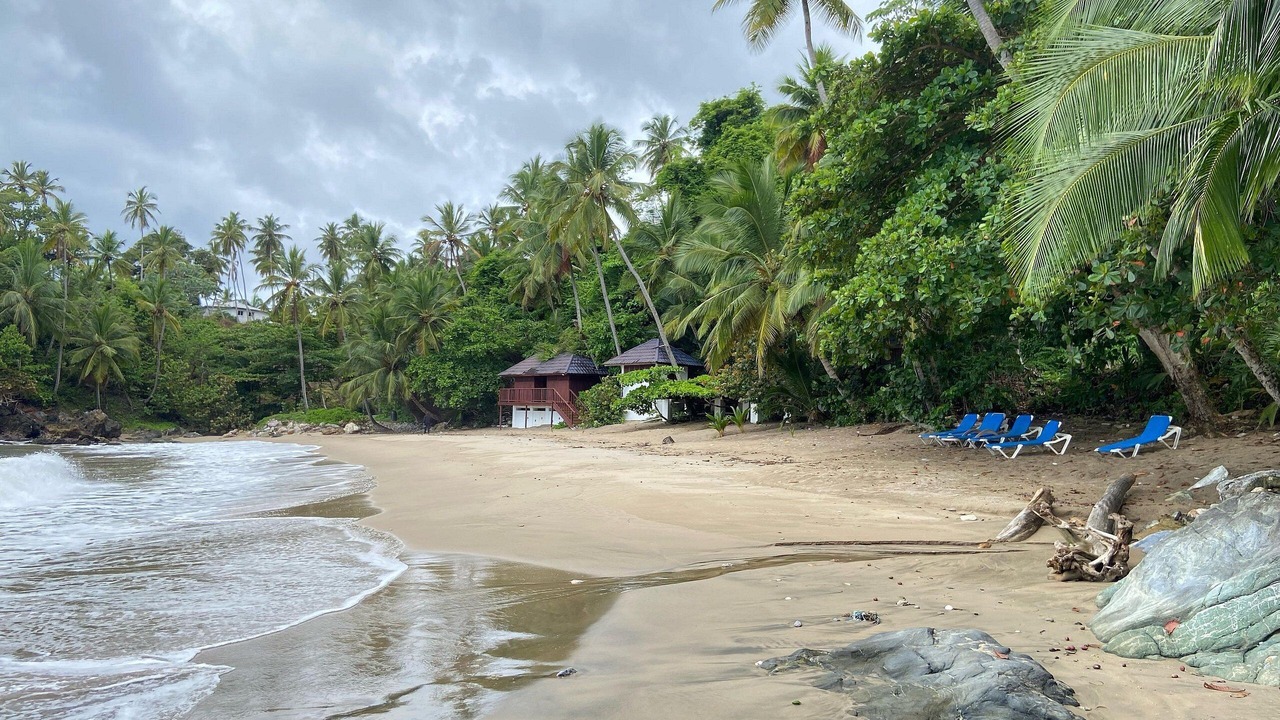 Photo of Others in Punta Balandra