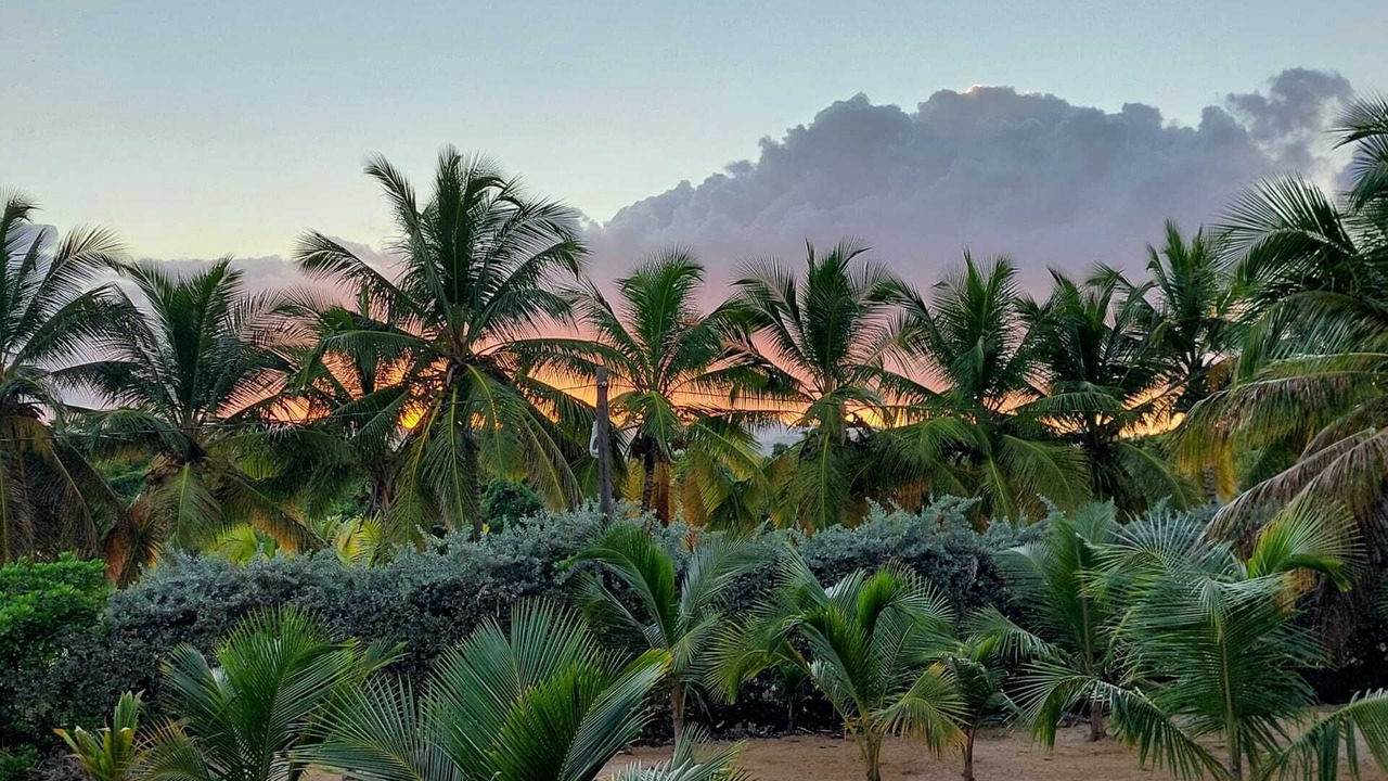 Photo of Outdoor in Higuey