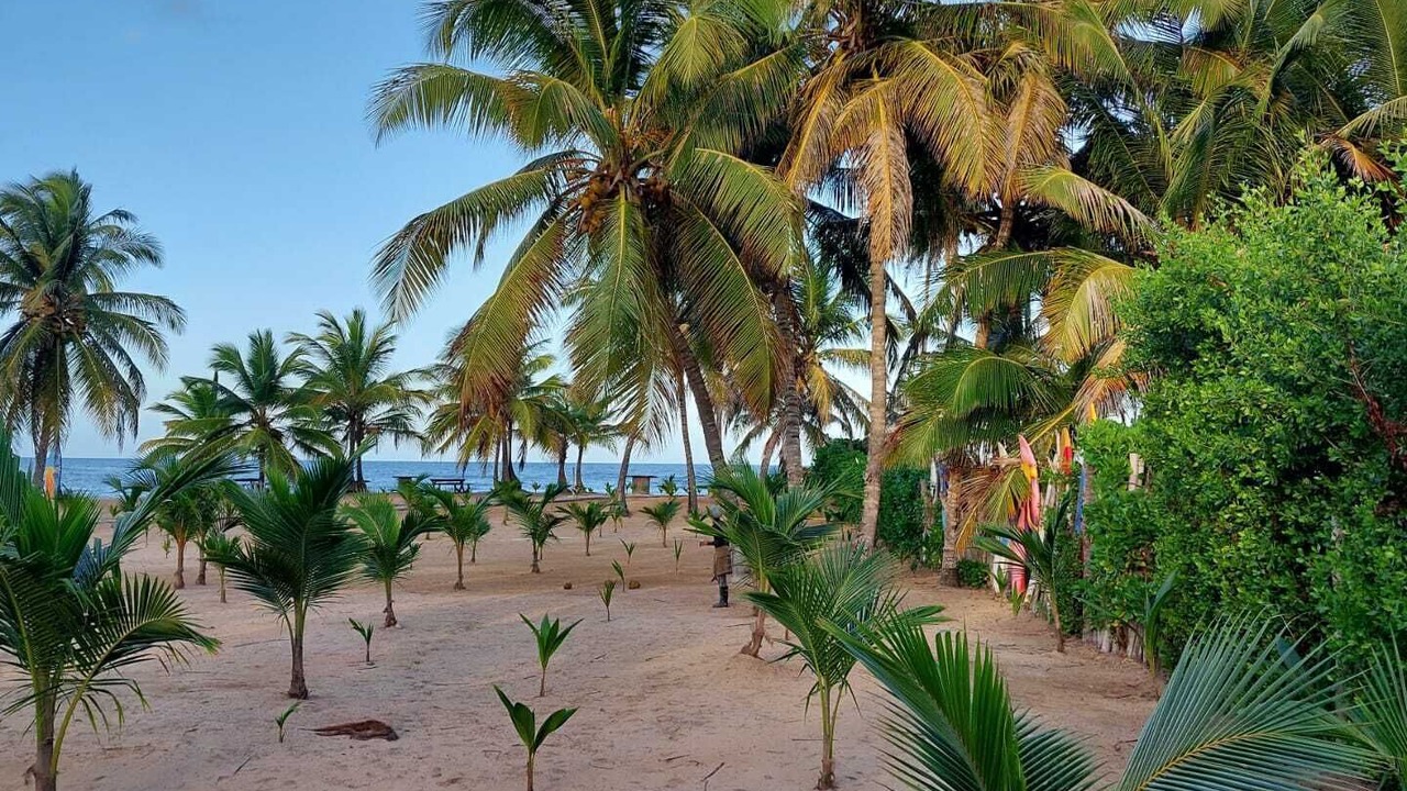 Photo of Outdoor in Higuey