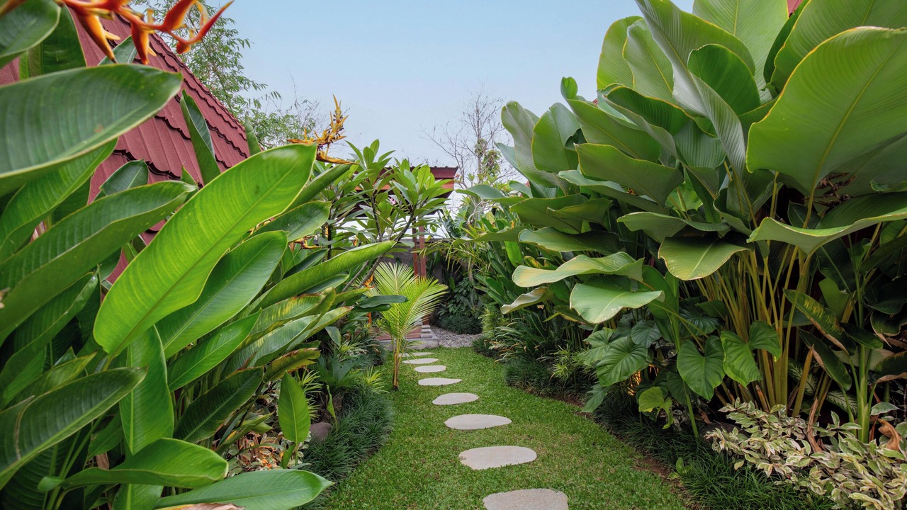 Photo of Outdoor in Kerambitan