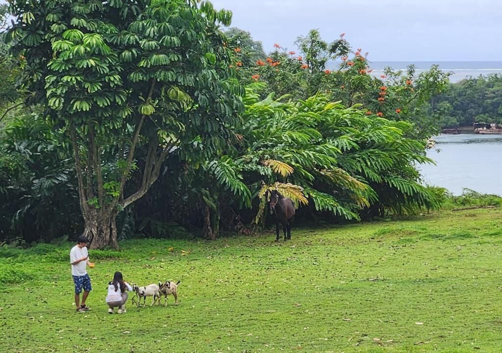 Photo of Outdoor in Lami
