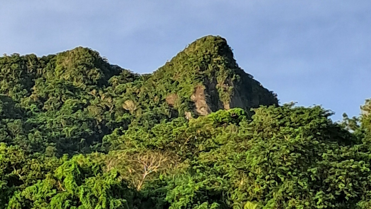 Photo of Bedroom in Levuka