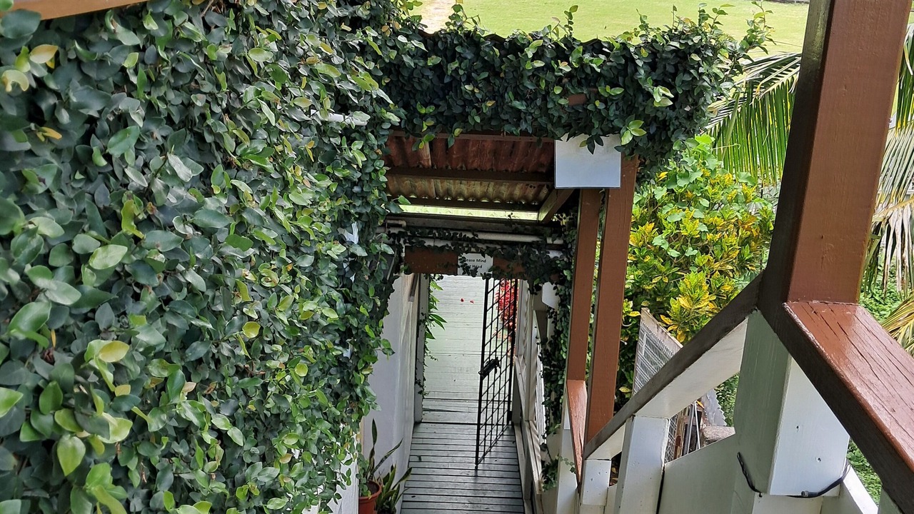 Photo of Outdoor in Levuka